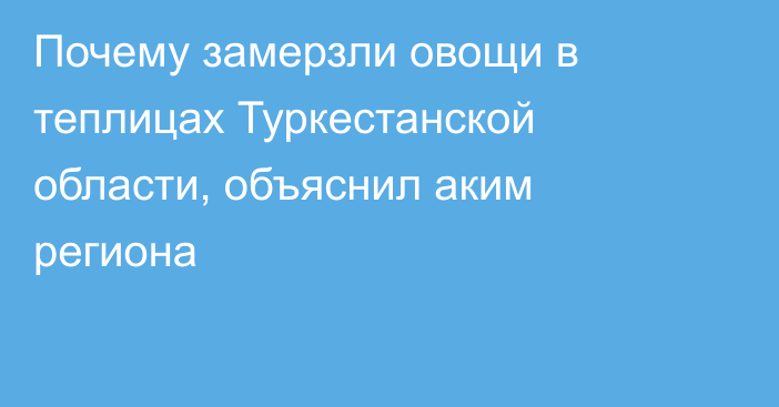 Почему замерзли овощи в теплицах Туркестанской области, объяснил аким региона