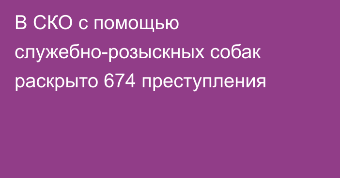 В СКО с помощью служебно-розыскных собак раскрыто  674 преступления