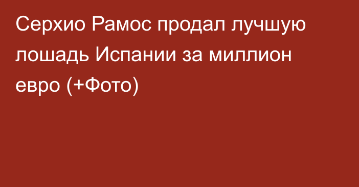 Серхио Рамос продал лучшую лошадь Испании за миллион евро (+Фото)