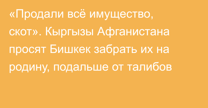 «Продали всё имущество, скот». Кыргызы Афганистана просят Бишкек забрать их на родину, подальше от талибов