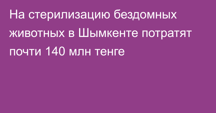 На стерилизацию бездомных животных в Шымкенте потратят почти 140 млн тенге