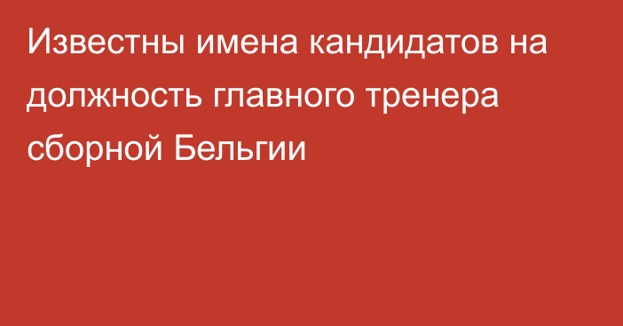 Известны имена кандидатов на должность главного тренера сборной Бельгии