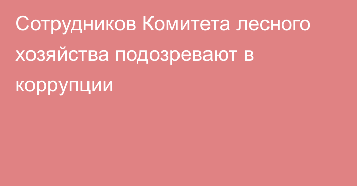 Сотрудников Комитета лесного хозяйства подозревают в коррупции