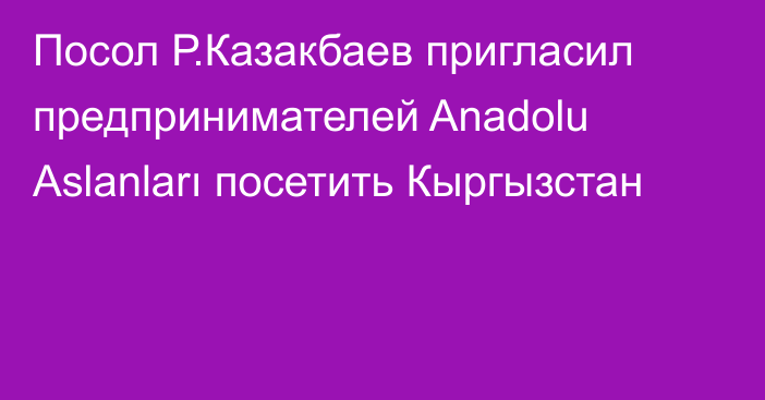 Посол Р.Казакбаев пригласил предпринимателей Anadolu Aslanları посетить Кыргызстан