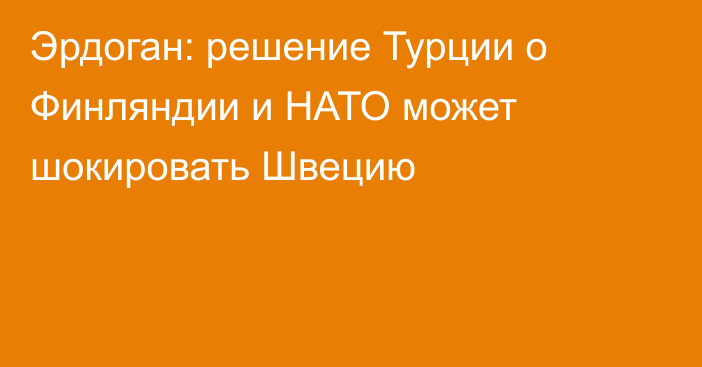 Эрдоган: решение Турции о Финляндии и НАТО может шокировать Швецию