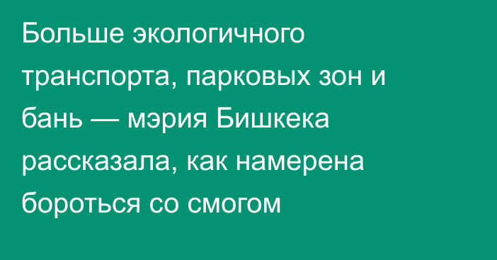 Больше экологичного транспорта, парковых зон и бань — мэрия Бишкека рассказала, как намерена бороться со смогом