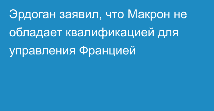 Эрдоган заявил, что Макрон не обладает квалификацией для управления Францией