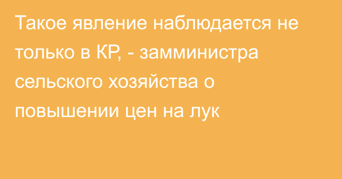 Такое явление наблюдается не только в КР, - замминистра сельского хозяйства о повышении цен на лук