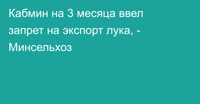 Кабмин на 3 месяца ввел запрет на экспорт лука, - Минсельхоз