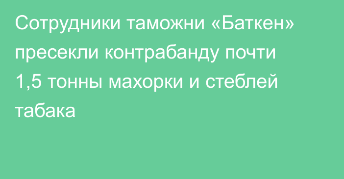 Сотрудники таможни «Баткен» пресекли  контрабанду почти 1,5 тонны  махорки и стеблей табака