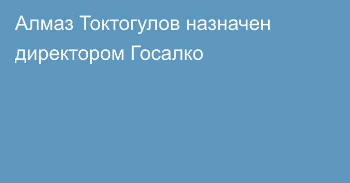 Алмаз Токтогулов назначен директором Госалко 