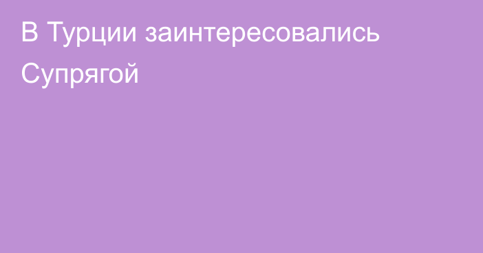 В Турции заинтересовались Супрягой