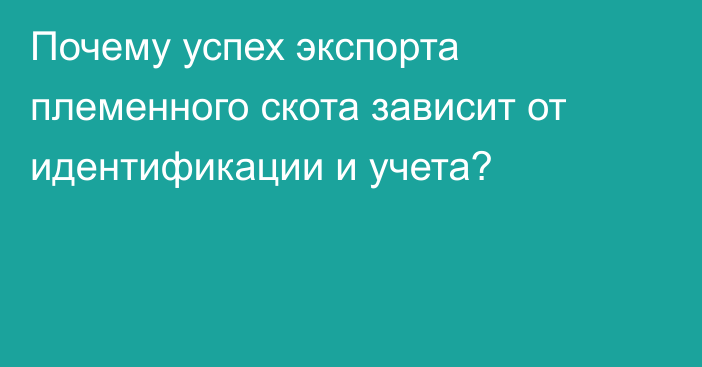 Почему успех экспорта племенного скота зависит от идентификации и учета?