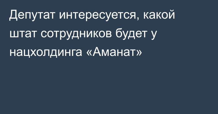 Депутат интересуется, какой штат сотрудников будет у нацхолдинга «Аманат»