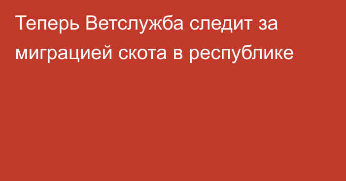 Теперь Ветслужба следит за миграцией скота в республике