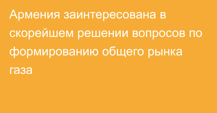 Армения заинтересована в скорейшем решении вопросов по формированию общего рынка газа