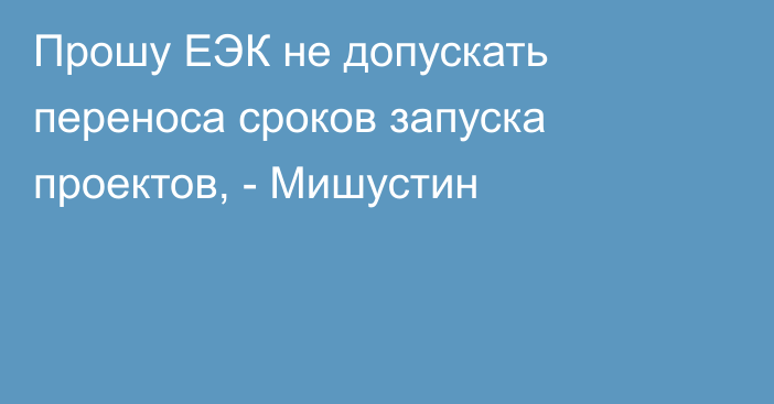 Прошу ЕЭК не допускать переноса сроков запуска проектов, - Мишустин