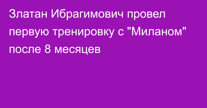 Златан Ибрагимович провел первую тренировку с 