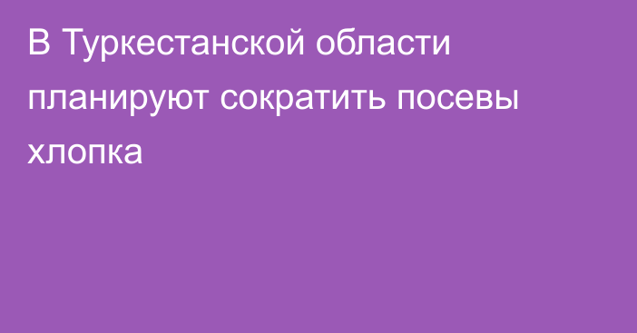 В Туркестанской области планируют сократить посевы хлопка