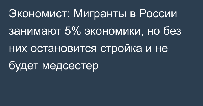 Экономист: Мигранты в России занимают 5% экономики, но без них остановится стройка и не будет медсестер