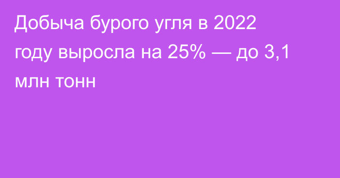 Добыча бурого угля в 2022 году выросла на 25% — до 3,1 млн тонн