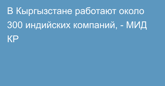 В Кыргызстане работают около 300 индийских компаний, - МИД КР