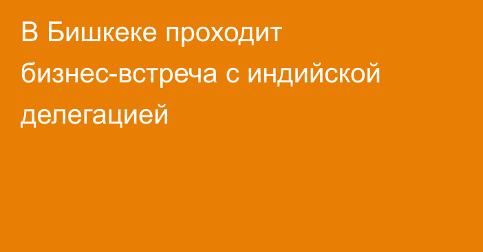 В Бишкеке проходит бизнес-встреча с индийской делегацией