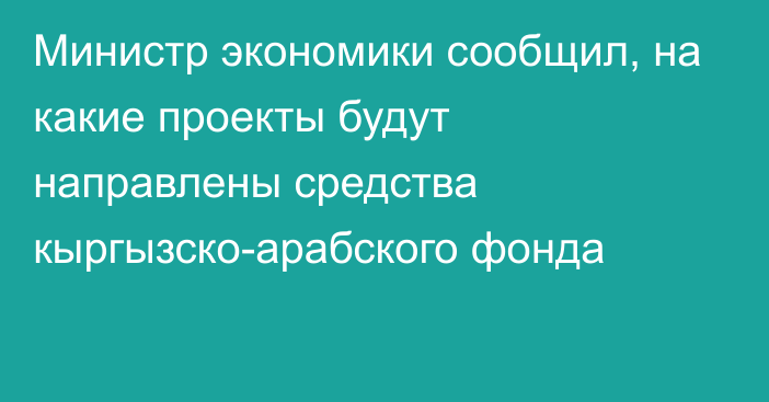 Министр экономики сообщил, на какие проекты будут направлены средства кыргызско-арабского фонда