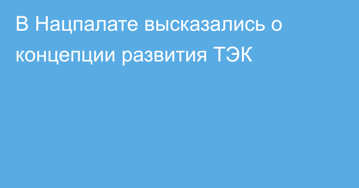 В Нацпалате высказались о концепции развития ТЭК