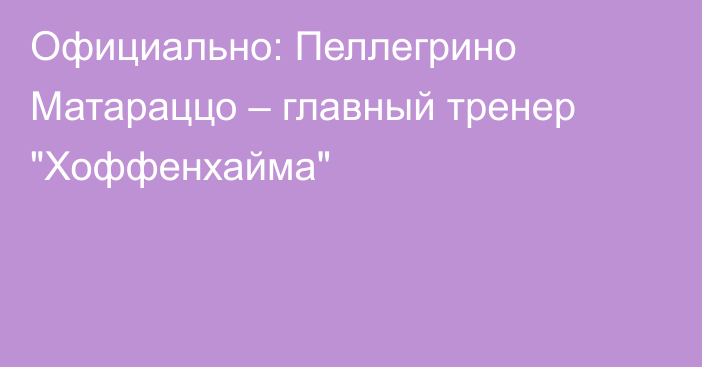 Официально: Пеллегрино Матараццо – главный тренер 