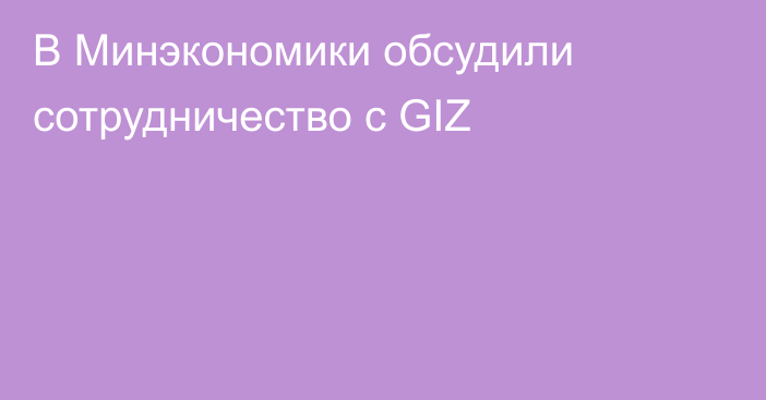 В Минэкономики обсудили сотрудничество с GIZ