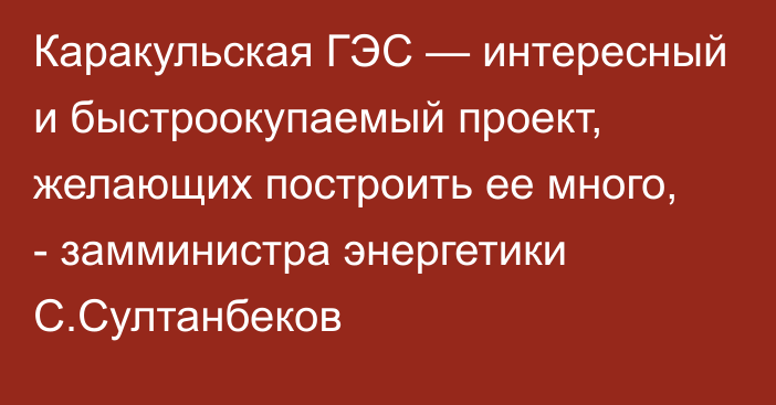 Каракульская ГЭС — интересный и быстроокупаемый проект, желающих построить ее много, - замминистра энергетики С.Султанбеков