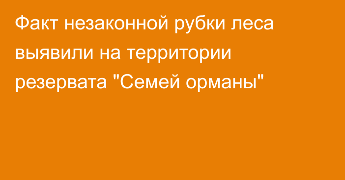 Факт незаконной рубки леса выявили на территории резервата 