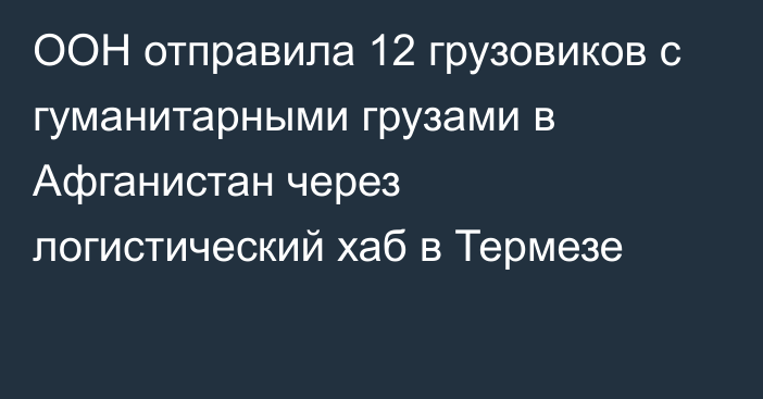 ООН отправила 12 грузовиков с гуманитарными грузами в Афганистан через логистический хаб в Термезе