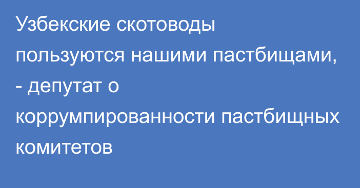 Узбекские скотоводы пользуются нашими пастбищами, - депутат о коррумпированности пастбищных комитетов