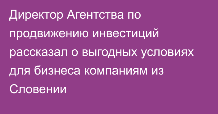 Директор Агентства по продвижению инвестиций рассказал о выгодных условиях для бизнеса компаниям из Словении 