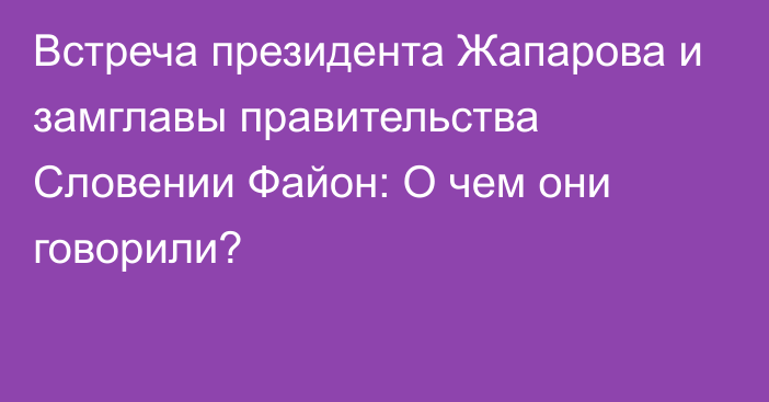 Встреча президента Жапарова и замглавы правительства Словении Файон: О чем они говорили?