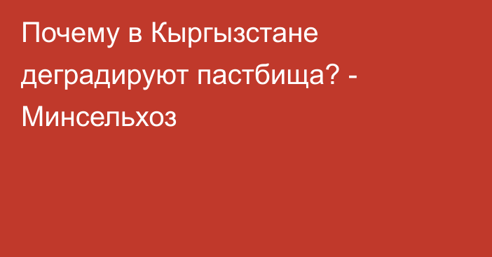 Почему в Кыргызстане деградируют пастбища? - Минсельхоз