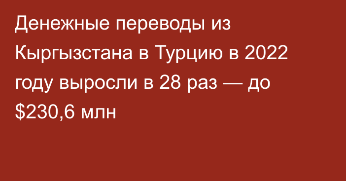 Денежные переводы из Кыргызстана в Турцию в 2022 году выросли в 28 раз — до $230,6 млн