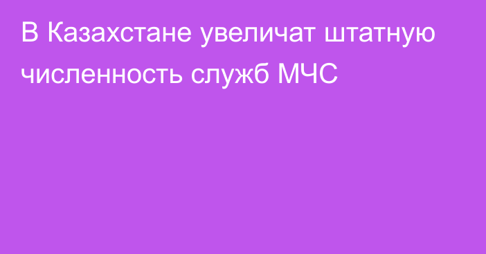 В Казахстане увеличат штатную численность служб МЧС