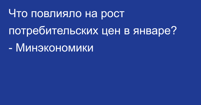 Что повлияло на рост потребительских цен в январе? - Минэкономики