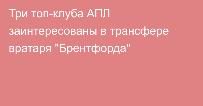 Три топ-клуба АПЛ заинтересованы в трансфере вратаря 