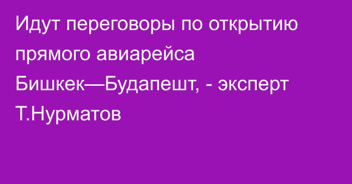 Идут переговоры по открытию прямого авиарейса Бишкек—Будапешт, - эксперт Т.Нурматов