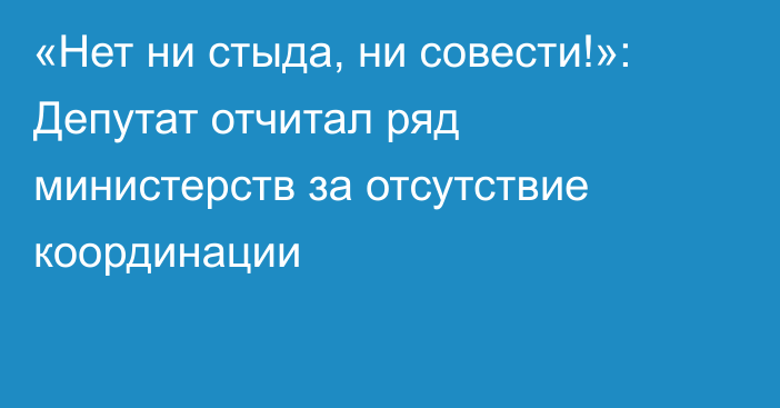 «Нет ни стыда, ни совести!»: Депутат отчитал ряд министерств за отсутствие координации