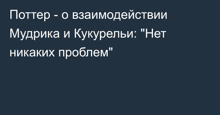 Поттер - о взаимодействии Мудрика и Кукурельи: 