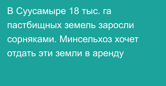 В Суусамыре 18 тыс. га пастбищных земель заросли сорняками. Минсельхоз хочет отдать эти земли в аренду