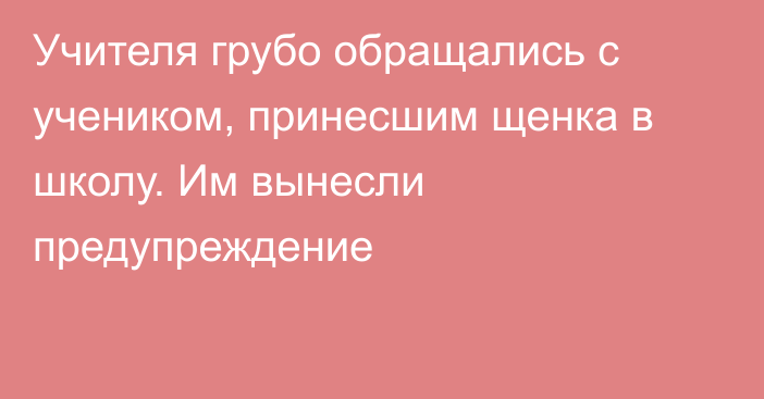 Учителя грубо обращались с учеником, принесшим щенка в школу. Им вынесли предупреждение