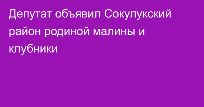 Депутат объявил Сокулукский район родиной малины и клубники