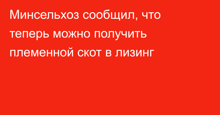 Минсельхоз сообщил, что теперь можно получить племенной скот в лизинг