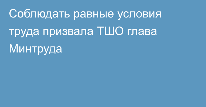 Соблюдать равные условия труда призвала ТШО глава Минтруда